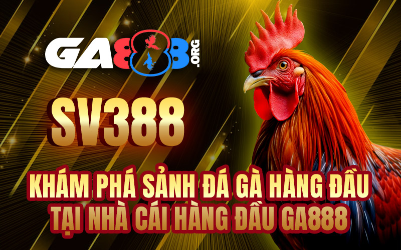 SV388 - Khám Phá Sảnh Đá Gà Hàng Đầu Tại Nhà Cái Hàng Đầu GA888